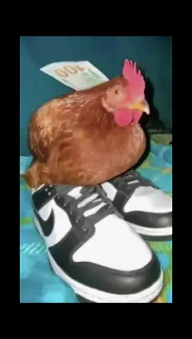 Goofy ahh edit #goofy #fyp #meme #edit #tiktok 