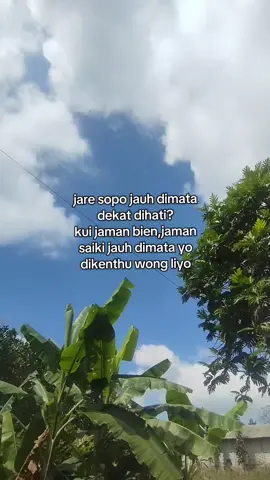 #jawaaesthetic 