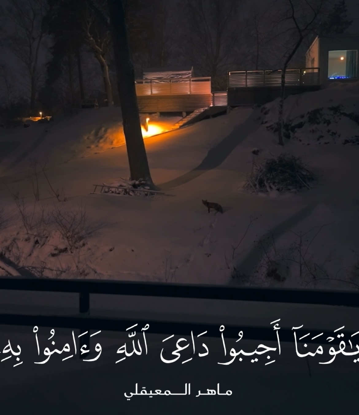 #سورة_الأحقاف  #قرآن #quran_alkarim #quran #القرآن_الكريم #ماهرالمعيقلي 