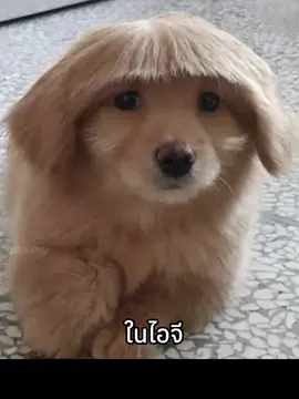 #CapCut 
