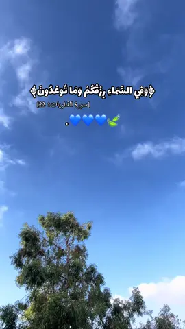 #اللهم_صلي_على_نبينا_محمد #قران_كريم #اكسبلور #fyp #foryou #explore #viral #fypシ゚ #قران #quran 
