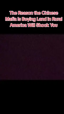 The Reason the Chinese Mafia Is Buying Land in Rural America Will Shock You