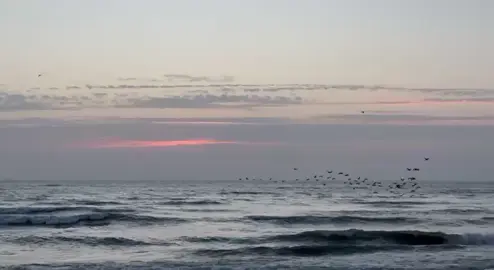 ТГК:serdceverushegoo #sunrise #nasheed #rek #sea 