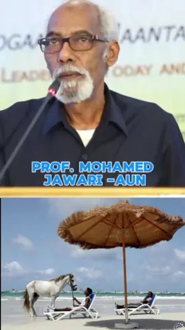 Talo Waalid Prof Jawaari #somalia #jawari #xamarcadey🇸🇴🇸🇴🇸🇴🇸🇴 #moqdisho 