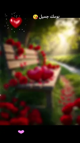 صباح السعادة على قلبكم الحلوه❤🌹#مشاهير_تيك_توك #سندباد الصعيد🐿