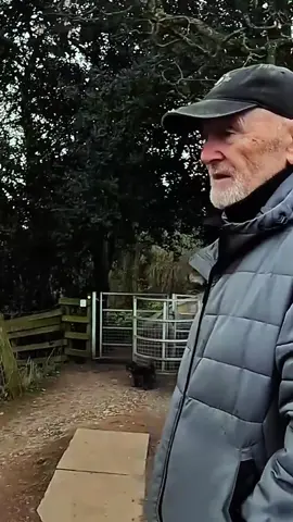 #audit #police #cops 