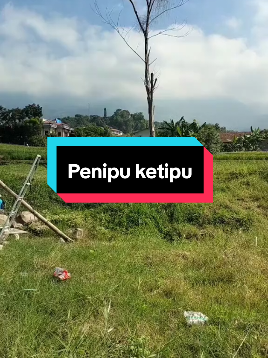 Penipu ketipu 🤣🤣🤣