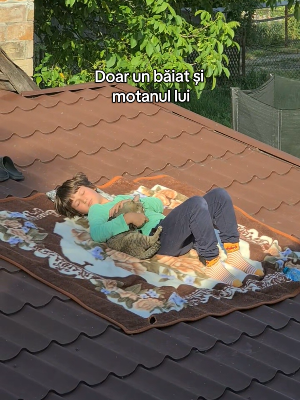 Luca a vrut să se relaxeze la soare. Și-a luat pătura… și pe Puci. Și au stat acolo, fiecare pe filmul lui. ☀️ Cine e partenerul tău de relaxare? #justaboyandhiscat #catlover #sunnyday #peacefulmoments #catvibes 