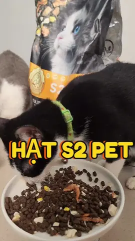 Hạt thập cẩm topping #meo #taphoameowhaybao #viral #hats2pet #hatchomeo 