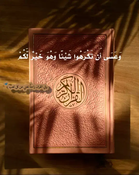 #ياسر_الدوسري💖 #قران_كريم #ارتاح #قران_صلي_علي_النبي #صلى_على_حبيبك_النبى #فلسطين #فلسطيني #قؤان_كريم🕋🕌 #اللهم_صل_على_محمد_وآل_محمد #الله_اكبر #لا اله إلا الله☝ #شكرا_على_دعمكم💖 #ارتاحو #وداعا_تيك_توك