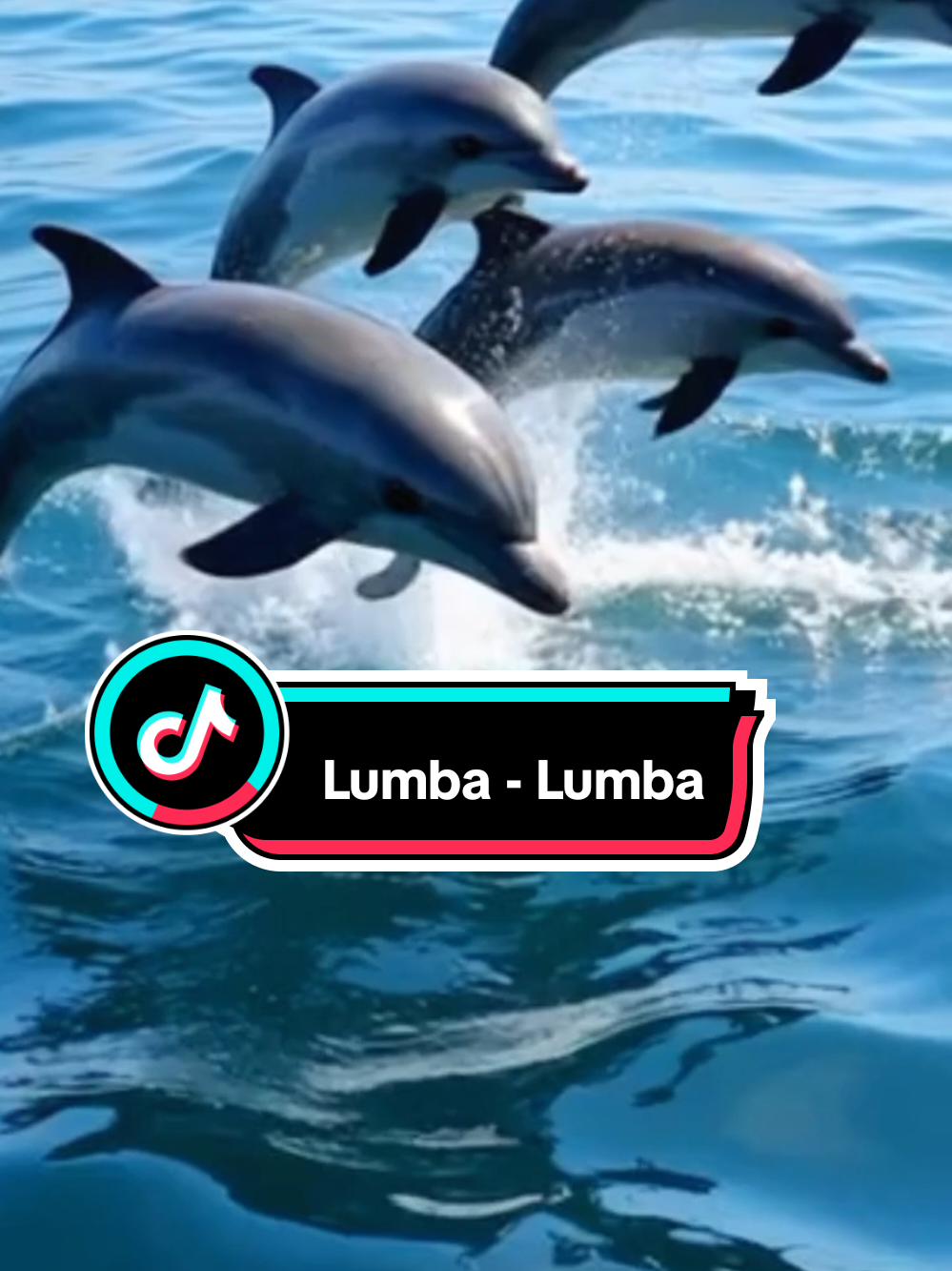 Ikan Lumba - Lumba  Berenag #ai #fypviralシ #animals #titokviral #wildanimals #fyp #lumbalumba #dolphin #dolphins #fyppppppppppppppppppppppp 