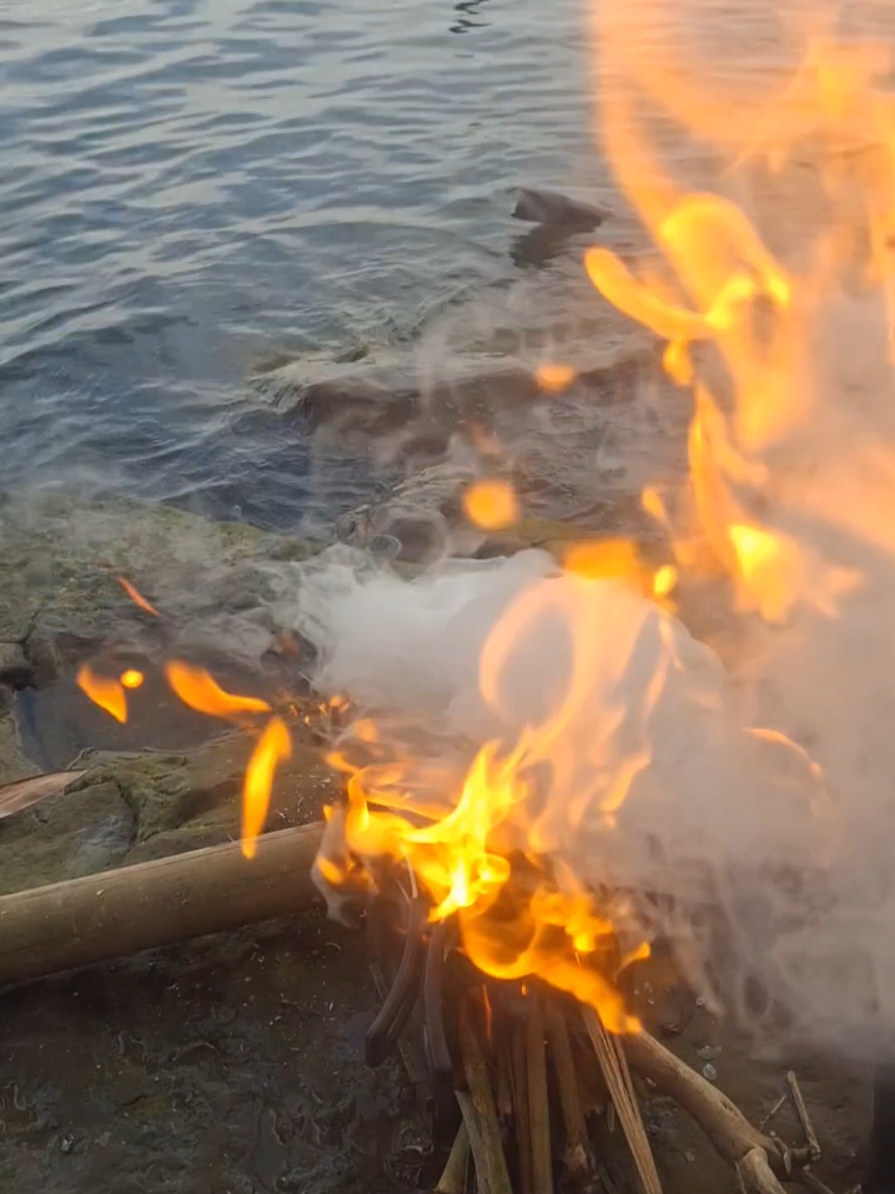 🎣 Hasil casting pagi tadi... 🔥 Masak pakai kayu bakar di tengah alam... 🍛 Gulai ikan fresh, dimasak pelan-pelan, dinikmati dalam sunyi. Sendirian, tapi rasanya... kaya makan rame-rame bareng alam. #GulaiIkanPeacockBass #spotcigenteng  #campingmasak #campingmasak #mancingcamping #mancingdialam #gulaiikan #peacockbass #mancingindonesia #masakdialam #komporkayu #campfirecooking #mancingharian #outdoorcooking #campinglife #videomasak #fypindonesia #fypmancing #masaktradisional #masakanoutdoor #peacockbass  #peacockbassjatiluhur 