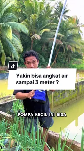 Pompa kandila psp 3200 #pompaaircelup #pompacelup #pompacelupkolamikan #pompacelupaquarium #pompacelupmurah #pompaair 