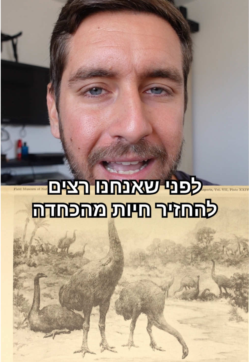 מה דעתכם? לא כדאי להתעסק בבעיות הגדולות יותר?