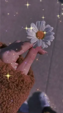 #🌾🌾🌾  #صباح_الخير #اسعد_الله_جميع_اوقاتكم🌹🌹 #☕ #🥰 