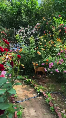 Easy Gardening for Beginners: Start Your Green Journey! #beginnergardener, #gardeningtips, #growyourown, #plantcare, #simplegardening