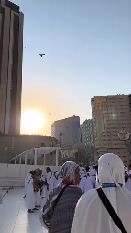 Matahari begitu dekat  #galabungamatahari #umrah #mekkah #mecca #mekkahmadinah #rindubaitullah #arab 