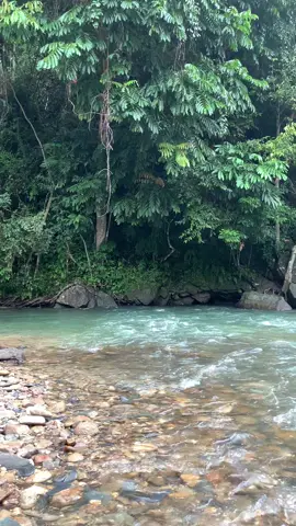 Sinimi datang mandi”😂#foryoupage #permandian #fyp #healing #konawe #vibes #viral #unaahasulawesitenggara #unaaha #kendari #kendarisulawesitenggara #fypシ゚ #xcyzba #masukberanda #lewatberanda #bismillahfyp #fyppppppppppppppppppppppp #4u #moots? #bahanswmu #wisataairterjun #wisataalam #curug #aesthetic #liburan #trand 
