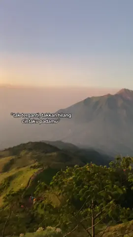 #xybca #foryoupage #foryou #fyp 