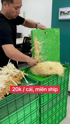 #khay làm giá đỗ tự động