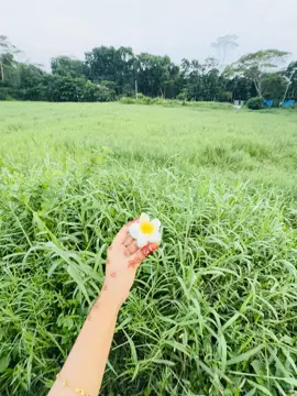 শূন্য পকেটে আমি তোমার বউ হয়ে ছিলাম...শত কষ্টের পরও আমি তোমার সাথে আছি ইন শা আল্লাহ সামনেও থাকবো...তুমি প্রতিষ্ঠিত হও আমি তোমার সাথে আছি🫶🥰@A🚩 #fpyシ #foruyou #trendingvideo #viral 