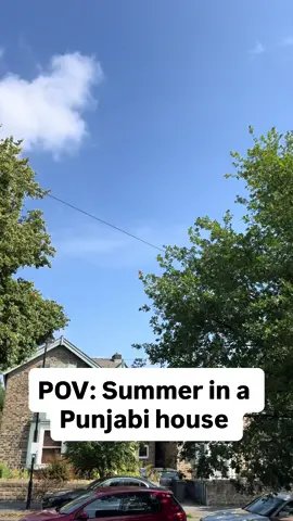 Summer in a Punjabi house 😂 #fyp #foryou #grandma #family #amma #Love #muslim #explore #explorepagey #reels #desi #asian #pakistani #indian #bengali #uk #usa #india #pakistan #punjab #punjabi #feelgood 