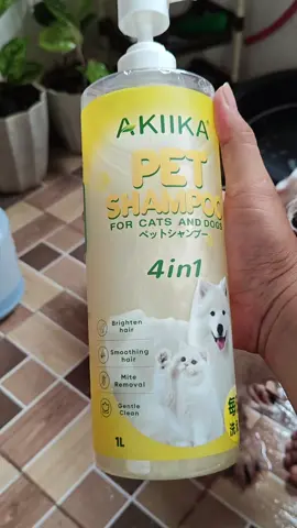 AKIIKA PET SHAMPOO  #petshampoo #akiika #dogshampoo #petproducts #PetsOfTikTok #shampoofordogs 