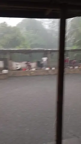 jan jan di kiwir tok