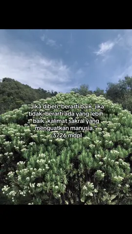 “jarak pandang hanya semangkuk mie ayam” -0mdpl. #aboutyou #aboutyouthe1975 #3726mdplau #3726mdpl  #4u #xybca #edelweiss 