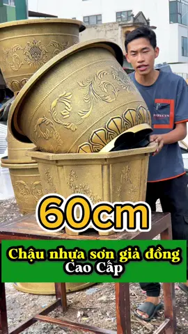 Chậu nhựa to trồng cây, nuôi cá chậu nhựa sơn màu đồng cao cấp #chauchunhat #chaugiadong #chautrongcay #thegioichauhoa #chaucay #chaunuoica #chauto #nhuaducminh #chaudeban #chaucamhoa #chauto 