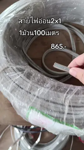 #สายไฟอ่อน#สายไฟอ่อน2x1@แคท เลี่ยนยงค์ @แคท เลี่ยนยงค์ 