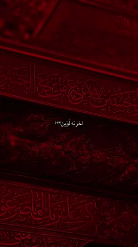 #اباعبدالله_الحسين_ع #خدمه_الحسين_شرف_لنا #الخدمه_الحسينيه #ليله_العاشر #محرم_1447_ويبقى_الحسين #كربلاء_مدينة_العشق_والعاشقين 