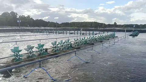 Ao mới mùa vụ mới🦐#nuoitomcongnghecao #tomthechantrang #xuhuong 