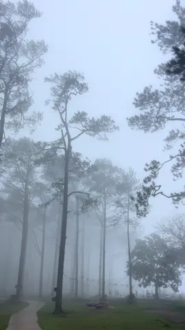 The best weather💨 #kirirom 