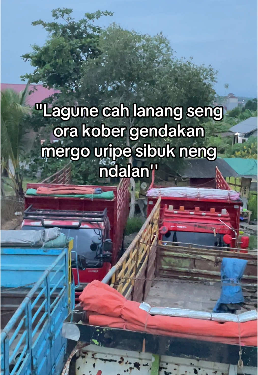 Ora kober tenan cah