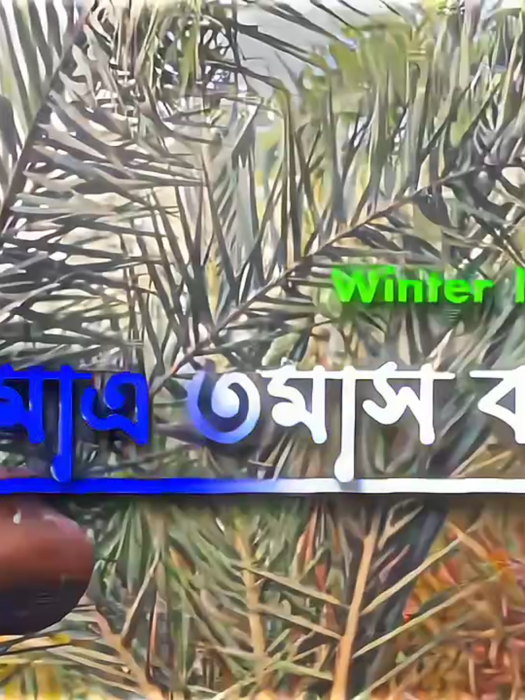 Winter I's Coming🥶🫶 #প্রিয়_শীতকাল #viral_sound #bdalamgirvai #1millionaudition #bdalamgirvaieditz #bdtiktokofficial🇧🇩 #foryoupageofficiall #cumiilar_editor #newtrend @TikTok Trends 
