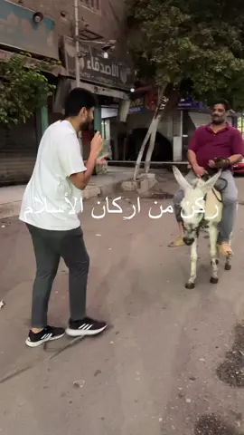 ركن من اركان الإسلام يأتي في عيد الاضحي ؟🐏