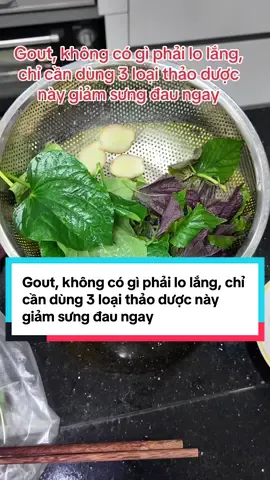 Gout, không có gì phải lo lắng, chỉ cần dùng 3 loại thảo dược này giảm sưng đau ngay #luongytuetam #tuetamlaphuongdi #gout 