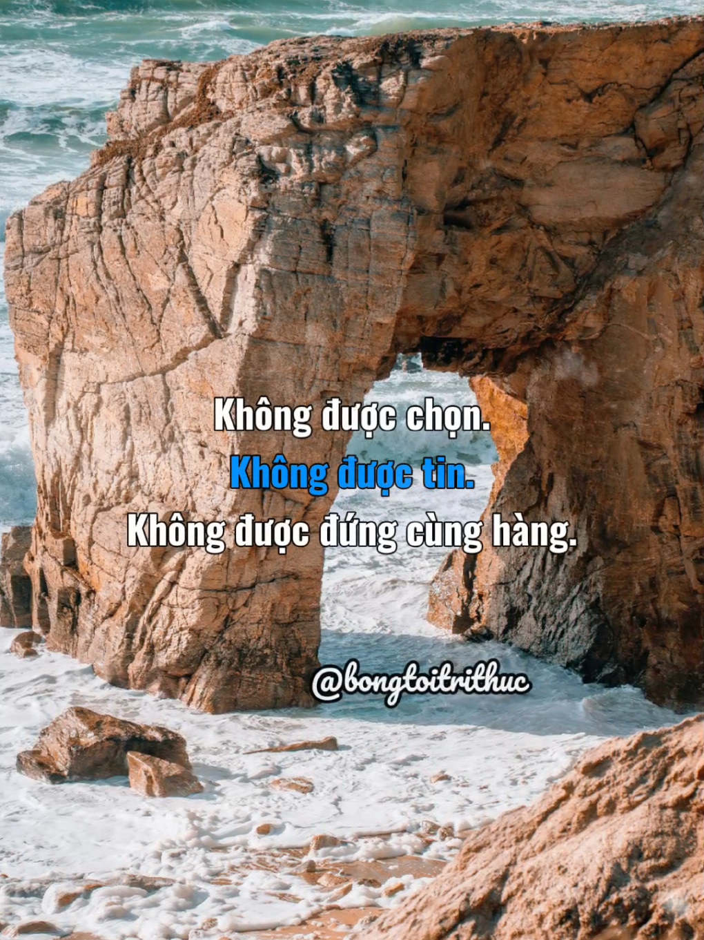 Cố lên nhé, người lạ! #bongtoitrithuc #tamlyconnguoi #fyp 