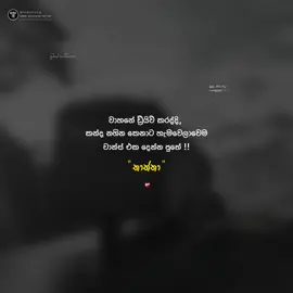 #whatsappstatus #sinhalaquotes #status #quotes #foryoupage #foryou #fyp 