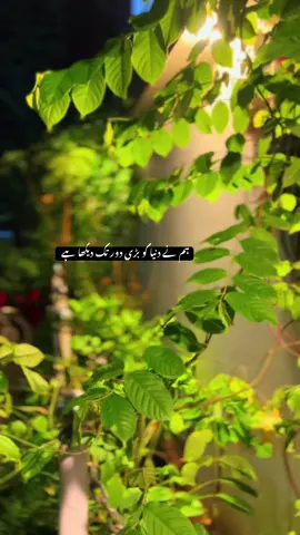 ❤️‍🩹  #fyp #fypシ゚viral #unfrezzmyaccount #ayanmaqbool 