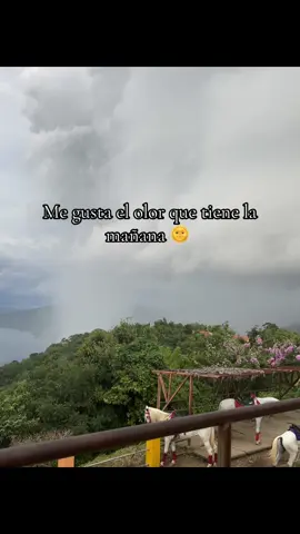 Feliz Domingo - Bendiciones  #domingo #bendiciones #canciones #letras #sigueme_para_mas_videos_asi 