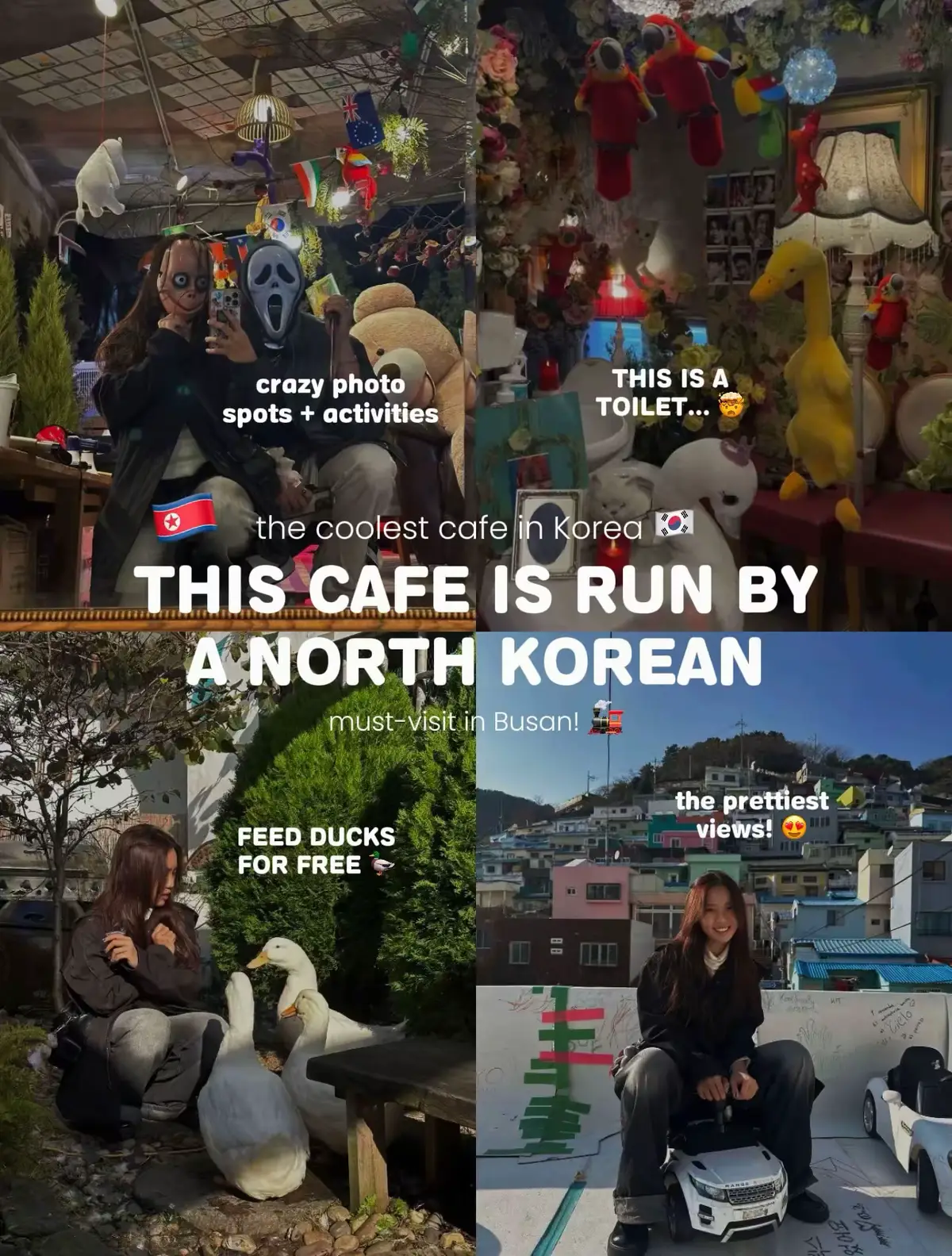 sharing this again bc I shared it on Lemon8 recently! and also bc I cannot stop thinking about it 🤍 📍𝗗𝗨𝗙 𝗖𝗢𝗙𝗙𝗘𝗘 195 Gamnae 1-ro, Saha-gu, Busan, South Korea (Right under Gamcheon Cultural Village's Stairs to See Stars, I'd recommended visiting after going to the village!) 📚𝗔𝗕𝗢𝗨𝗧 𝗗𝗨𝗙 𝗖𝗢𝗙𝗙𝗘𝗘: Duf Coffee is owned by Ga-Car, a North Korean 🇰🇵 He escaped North Korea by swimming to China in 2021, with two friends- who died at sea. He is super passionate about what he loves- drinks, ducks, and quirky stuff 🤡 We had a conversation with him, he is super friendly and full of life- despite everything he's been through 🤍 ☕️ 𝗙𝗥𝗘𝗘 𝗧𝗛𝗜𝗡𝗚𝗦 𝗬𝗢𝗨 𝗖𝗔𝗡 𝗗𝗢 𝗔𝗧 𝗧𝗛𝗘 𝗖𝗔𝗙𝗘: 🤍 Draw- he provided so many materials all around the cafe! You can leave your mark on the place 🎨 🤍 Take photos- UNLIMITED photo spots 📸  🤍 Get through the buildings- it's an obstacle course complete with a haunted house element 👻  🤍 Feed ducks- Bro just has 3 ducks in his backyard 🦆 🤍 Print pictures- and stick them on the wall! 🖼️ 🤍 Dress up- he has a LOT of costumes for you 👘 🤍 Chill at the rooftop overlooking Gamcheon ☕️ Drinks are only $5-10, and he gives you a packet of duck food too. 🤍 Please visit this place when you're in Busan!  #southkorea #busan #korea #koreatravel #seoul #northkorea #koreacafe #traveltiktok  