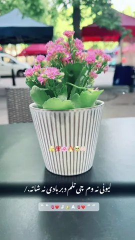 #CapCut #tiktok #pageforyou #Nangarhar #kabul #peshawar #UK #viral_video #afghanistan🇦🇫 #dubai #USELESS #mum #USA 