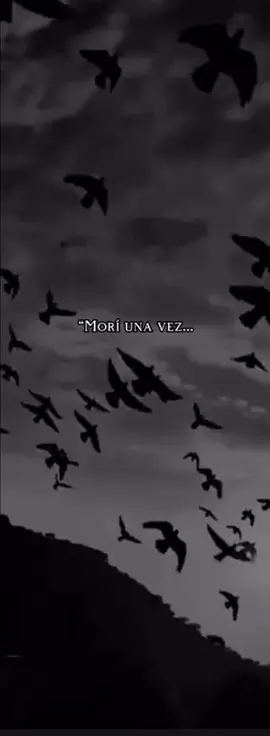 La sombra 🔥 #ElRenacido   #MotivaciónOscura   #FuegoMental   #ResurgeDelDolor   #MenteFríaCorazónFuerte   #DisciplinaOscura   #VozDeLaSombra   #SinMiedo   #MentalidadDeAcero   #PsicologíaOscura   #OscuridadQueMotiva   #DesdeElInfierno   #MotivaciónBrutal   #RompíMisCadenas   #SoyConsecuencia   