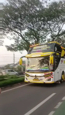 Basuri Pretty Little Baby dari Rahma🤩🤩 #busmaniacommunity #storybus #rahmanursyifa02 #basuri #basuri18corong @tomi rahma nursyifa02 