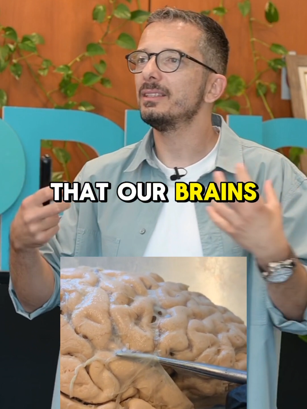 #savvastrichas #brain #research #communicationtips 