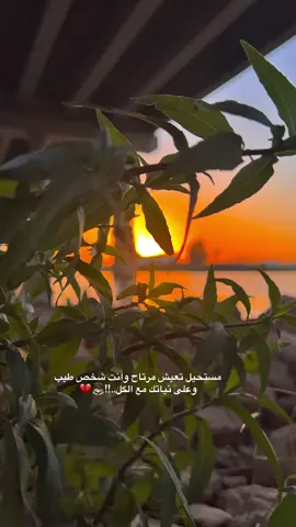 مستحيل تعيش مرتاح وانت شخص طيب وعلى نياتك مع الكل..!!🙇🏻💔 #تصويري📸 #تصوير_ايفون #صعدوو_ءڪڪسبلور_للايڪ_متابعه #اعادة_النشر🔃 #ستوريات #تصويري_احترافي_الاجواء👌🏻🕊😴 #عبارات_جميلة_وقويه😉🖤 #شاركو_المقطع_فعلو_حركة_الاكسبلور #تفاعلكم_لايك_متابعه_اكسبلوررررراexplore #مشاهير_تيك_توك #اكسبلورexplore #عبارات_جميلة_وقويه😉🖤 