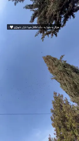 😍🤍 #zaxo_duhok_hewler_slemani_hawler #nergzbarzani3 #ashqakam💍🥺 #zaxo #nawabarzani3 #fipシ #nawabarzani #ashqakam #tiktok #foryoupage #CapCut #karkuk #fip #tpyシ #sulemani #tpyシforyou #وتەیەکی_جوان_بنوسن🙃🥀 #tpy #وتەیەکی_جوان_بنوسن🙃💔 #وتەیەکی_جوان_بۆ_ئەم_ڤیدۆیە♥ 