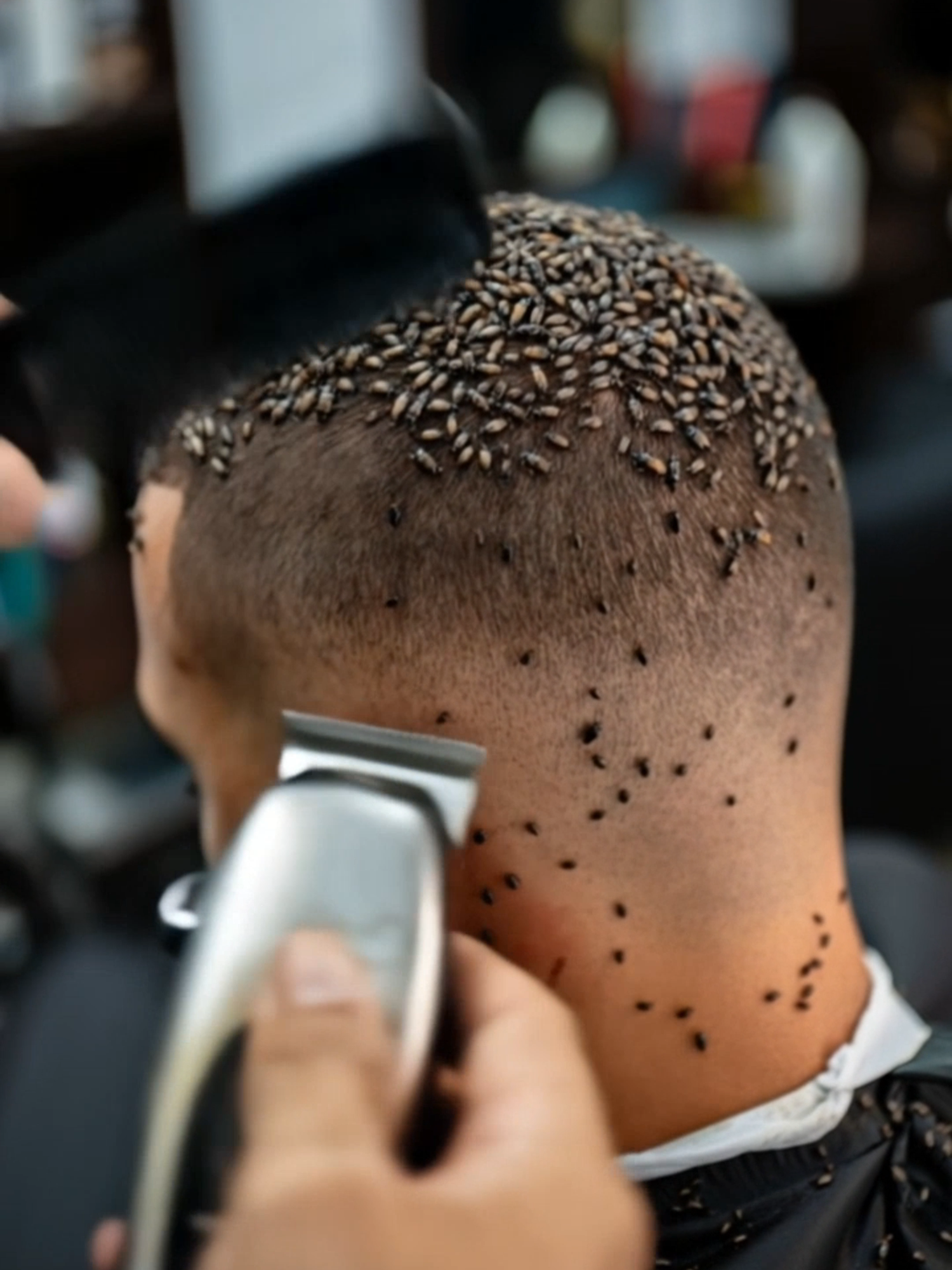 ASMR Barber Hair Drying — Soothing Buzz Cut Scalp Care Sounds Experience the relaxing sounds of a professional barber gently drying a freshly shaved buzz cut with a hairdryer. 👇 🎯 Create your own AI shorts here: https://surli.cc/bhotao #asmr #barber #hairdrying #buzzcut #soothing #scalpcare #barbershop #satisfying #haircut #SelfCare #tryphophobia